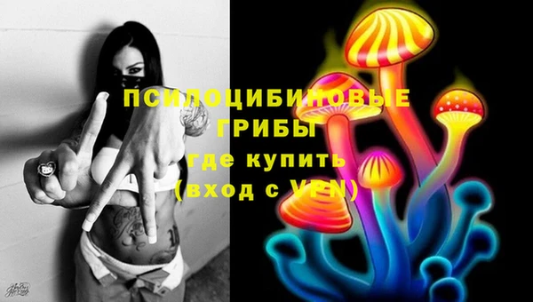 таблы Осташков