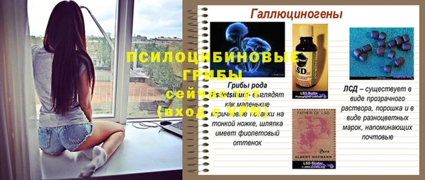 таблы Осташков
