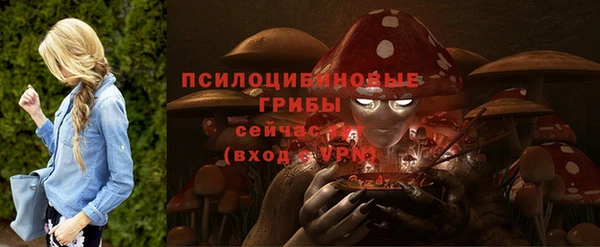 ALPHA-PVP Осинники