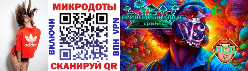 Купить  Дорогобуж  Галлюциногенные грибы мицелий 